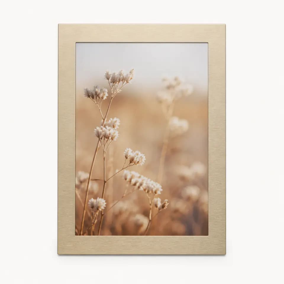 Adhesive frame