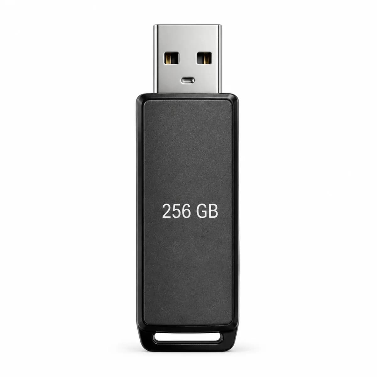 Stik 256 GB